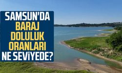 Samsun'da baraj doluluk oranları ne seviyede?