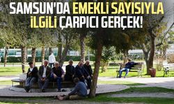 Samsun'da emekli sayısıyla ilgili çarpıcı gerçek!