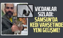 Vicdanlar sızladı: Samsun'da kedi vahşetinde yeni gelişme!