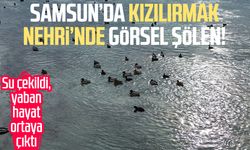Samsun’da Kızılırmak Nehri’nde görsel şölen!
