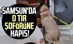 Samsun'da o tır şoförüne hapis!