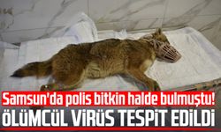 Samsun'da polis bitkin halde bulmuştu! Ölümcül virüs tespit edildi