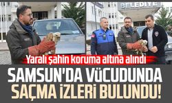 Samsun'da vücudunda saçma izleri bulundu! Koruma altına alındı