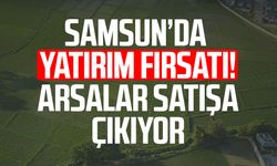 Samsun'da yatırım fırsatı! Arsalar satışa çıkıyor