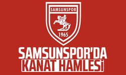 Samsunspor'da kanata Elayis Tavsan iddiası
