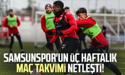 Samsunspor'un üç haftalık maç takvimi netleşti!