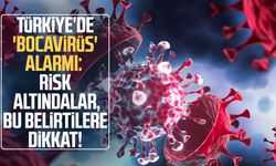 Türkiye’de bocavirüs alarmı: Bu belirtiler hafife alınmamalı