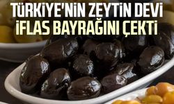 Türkiye'nin zeytin devi iflas bayrağını çekti