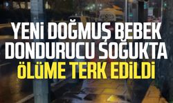 Yeni doğmuş bebek dondurucu soğukta ölüme terk edildi