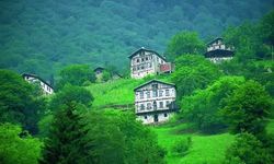 Salıpazarı’nda Orman Köylerinin Sessizliği