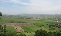 Bafra’da Ovanın Belirlediği Günlük Düzen