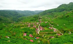 Salıpazarı’nda Doğayla İç İçe Günler