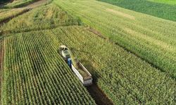 Asarcık ve Ayvacık’ta Kırsal Yaşam Günlüğü