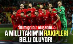 A Milli Takım'ın rakipleri belli oluyor!