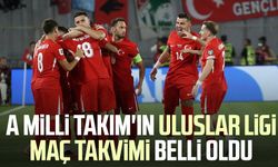 A Milli Takım'ın Uluslar Ligi maç takvimi belli oldu