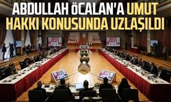 Abdullah Öcalan'a umut hakkı konusunda uzlaşıldı