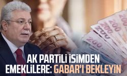 AK Partili Akbaşoğlu'ndan emeklilere: Gabar'ı bekleyin