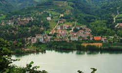 Ayvacık’ta Göl Çevresinde Sakin Hayat