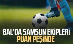 BAL'da Samsun ekipleri puan peşinde