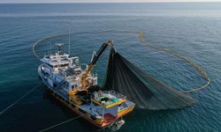 Yakakent’te Balıkçı Barınakları ve Deniz Kültürü