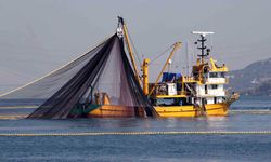 Yakakent’te Balıkçılıkla Şekillenen Günler