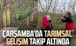Çarşamba’da tarımsal gelişim takip altında