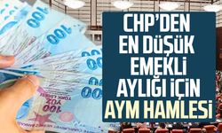 CHP’den emekli aylığı için Anayasa Mahkemesi hamlesi