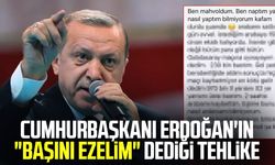 Cumhurbaşkanı Erdoğan'ın "Başını ezelim" dediği tehlike
