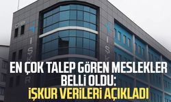 En çok talep gören meslekler belli oldu: İŞKUR verileri açıkladı