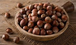 Salıpazarı’nda Fındık Üretimi ve Ekonomi