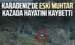 Rize'de ölümlü kaza! Ahmet Ziya Mercan hayatını kaybetti