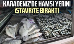 Karadeniz'de hamsi yerini istavrite bıraktı