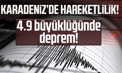 Karadeniz'de 4.9 büyüklüğünde deprem!