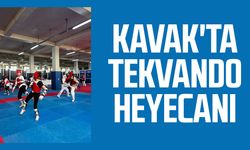 Kavak'ta tekvando heyecanı