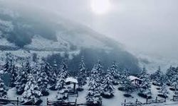 Ladik’te Doğa Fotoğrafçılığı Noktaları