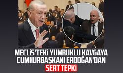 Meclis'teki yumruklu kavgaya Cumhurbaşkanı Erdoğan'dan sert tepki