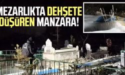 Mezarlıkta dehşete düşüren manzara: Poşete sarılı bulundu