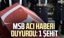 MSB acı haberi duyurdu: Talat Okur şehit oldu