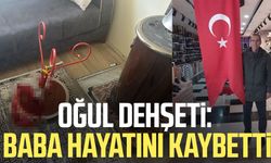 Şizofreni hastası olduğu iddia edilen şahıs, babasını bıçaklayarak öldürdü