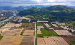 Bafra’da Ovanın Şekillendirdiği Hayat