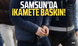Samsun Ayvacık'ta ikamete baskın!