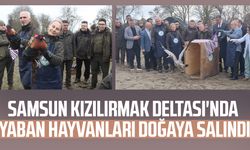 Samsun Kızılırmak Deltası'nda yaban hayvanları doğaya salındı