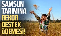 Samsun tarımına rekor destek ödemesi!