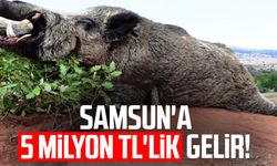Samsun'a 5 milyon TL'lik gelir!
