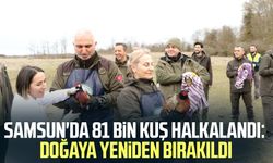 Samsun'da 81 bin kuş halkalandı: Doğaya yeniden bırakıldı