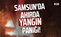 Samsun'da ahırda yangın paniği!
