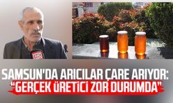 Samsun'da arıcılar çare arıyor: "Gerçek üretici zor durumda"