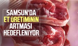 Samsun'da et üretiminin artması hedefleniyor