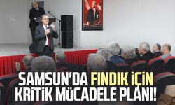 Samsun'da fındık için kritik mücadele planı