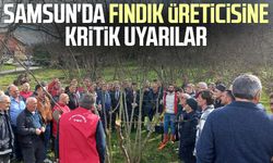 Samsun'da fındık üreticisine kritik uyarılar